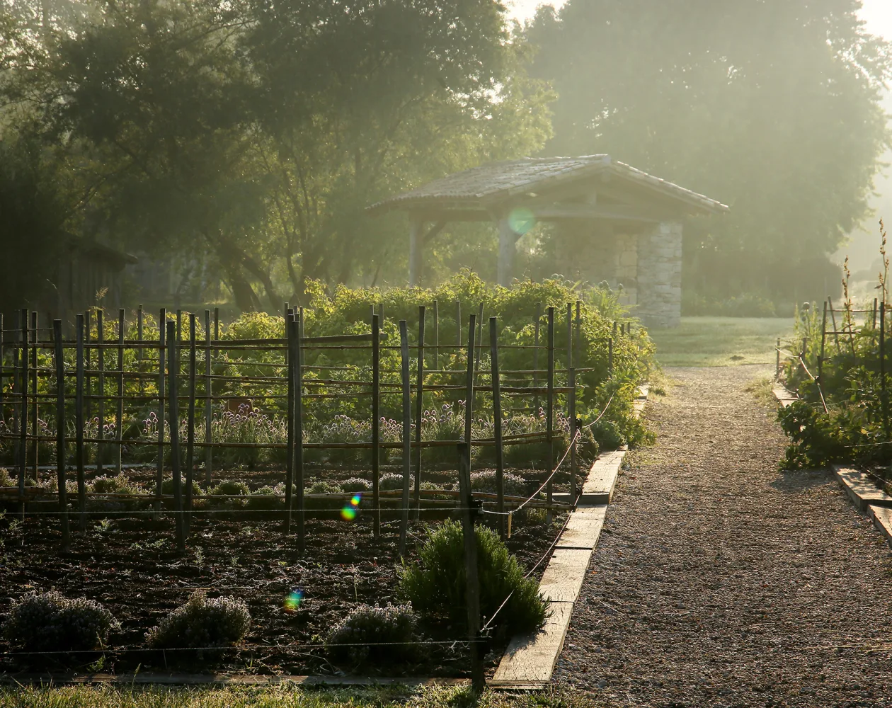La Grand'Vigne — photo 12