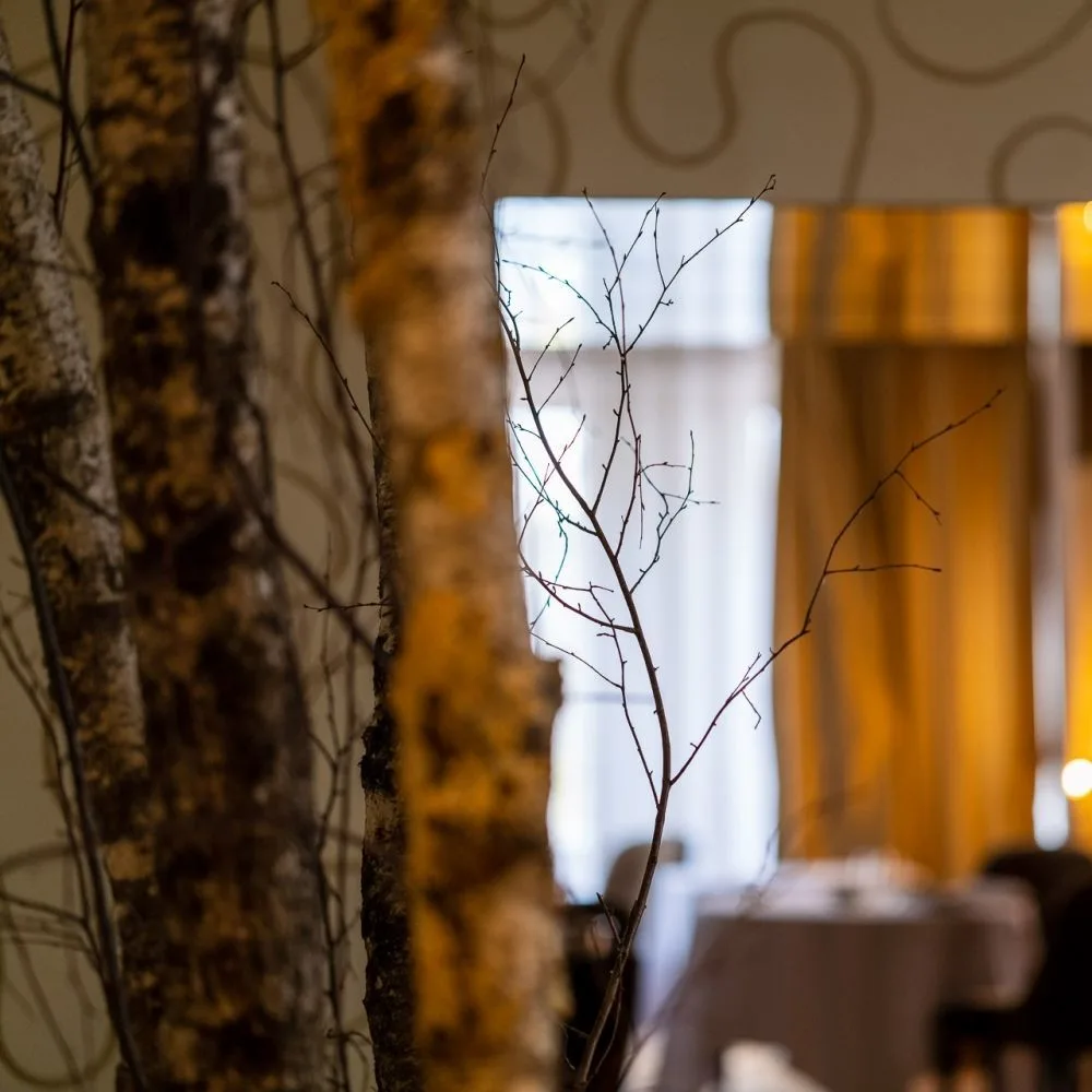 Grand Hôtel du Lion d'Or — photo 32