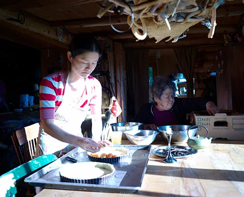Eigensinn Farm — kitchen