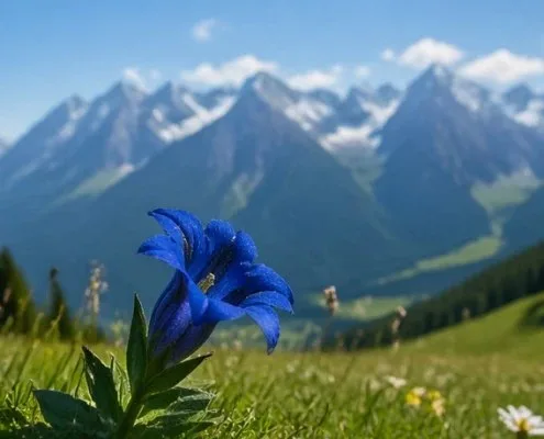 Alpenhof Grainau — atmosphere