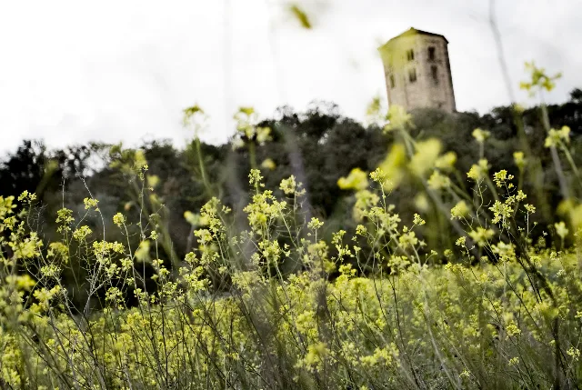 Lo Ponts — photo 10