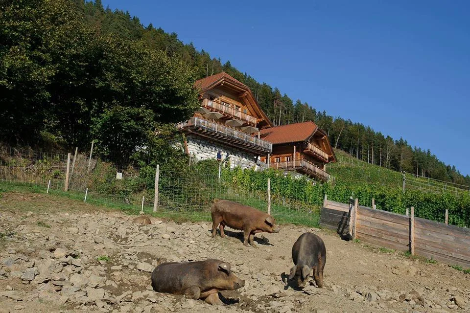 Restaurant Leiten — photo 9