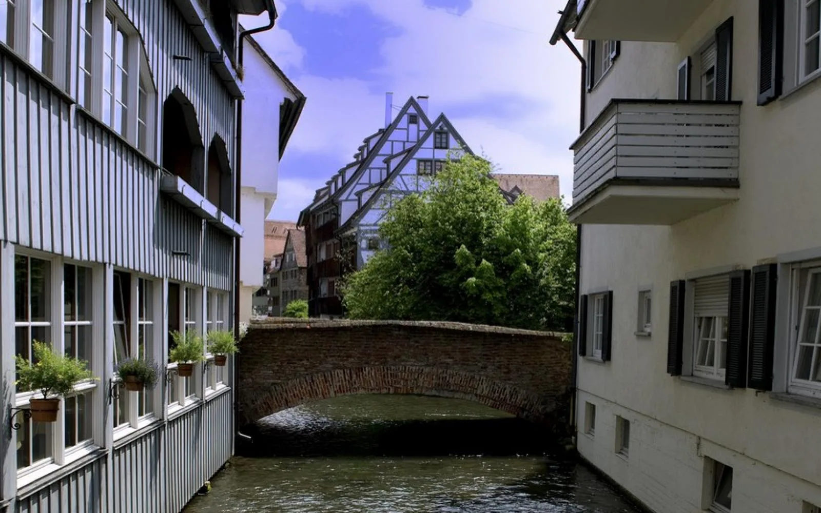 Gerberhaus — photo 37