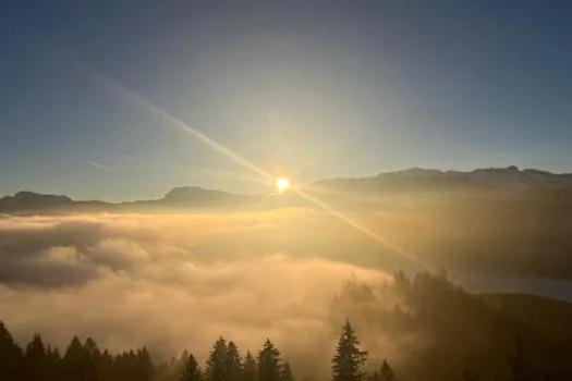 Wiesner Mysterion - Wiesner - Zauber — atmosphere