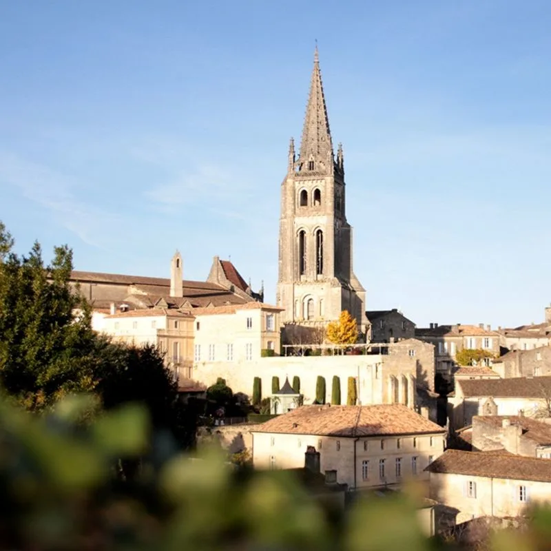 La Table de Pavie — photo 52