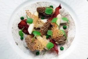 Grenache, Lisbon