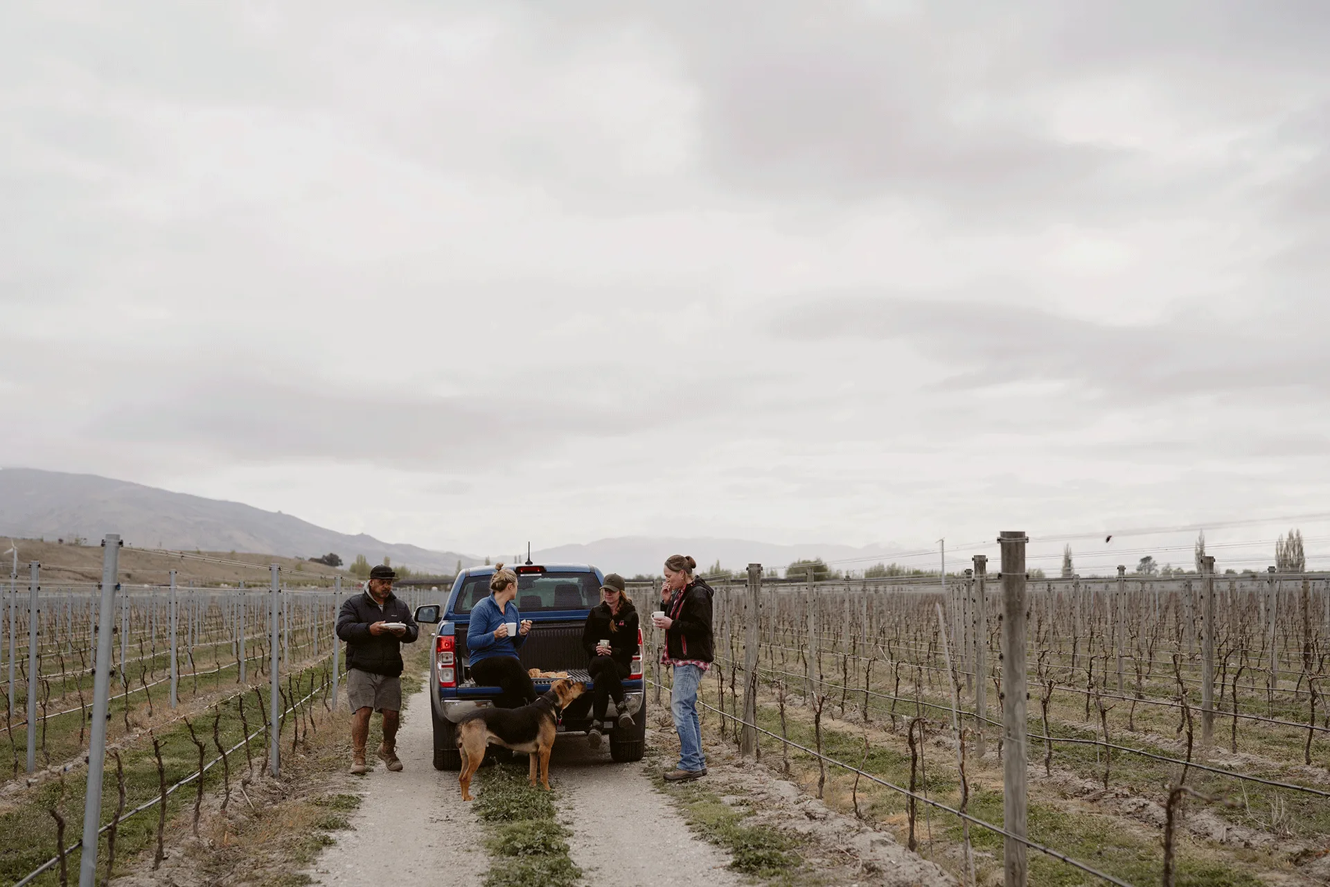 Mora Wines & Artisan Kitchen — photo 5