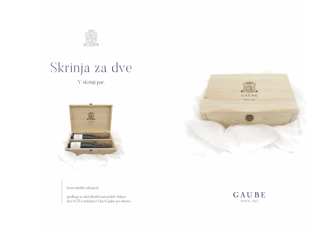 Domačija Vino Gaube — photo 20