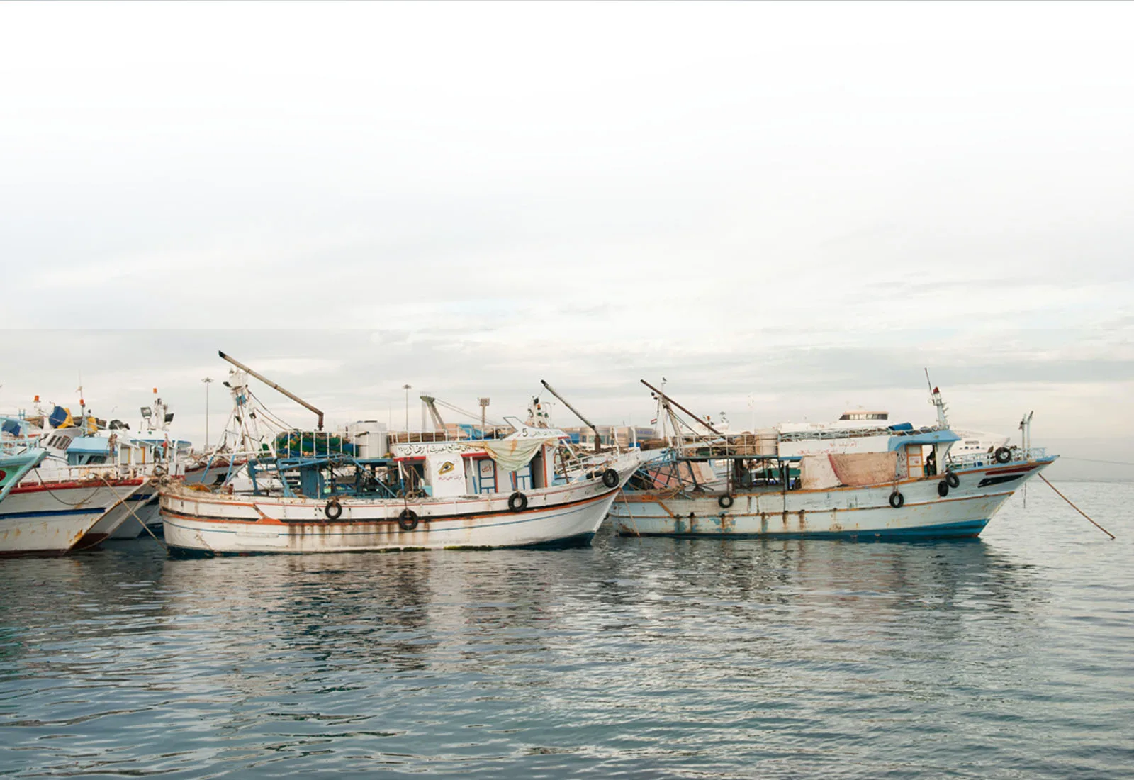 Atlantik Fisch — photo 70