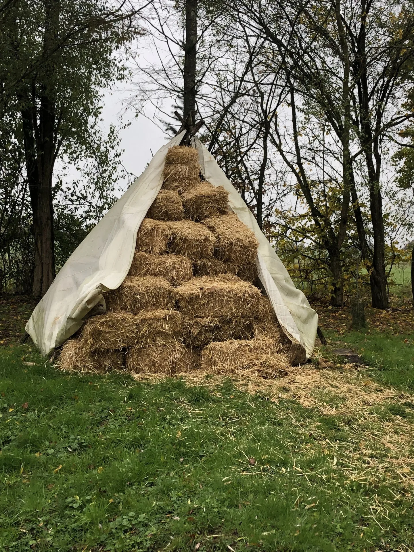 Jour de Fête — photo 63