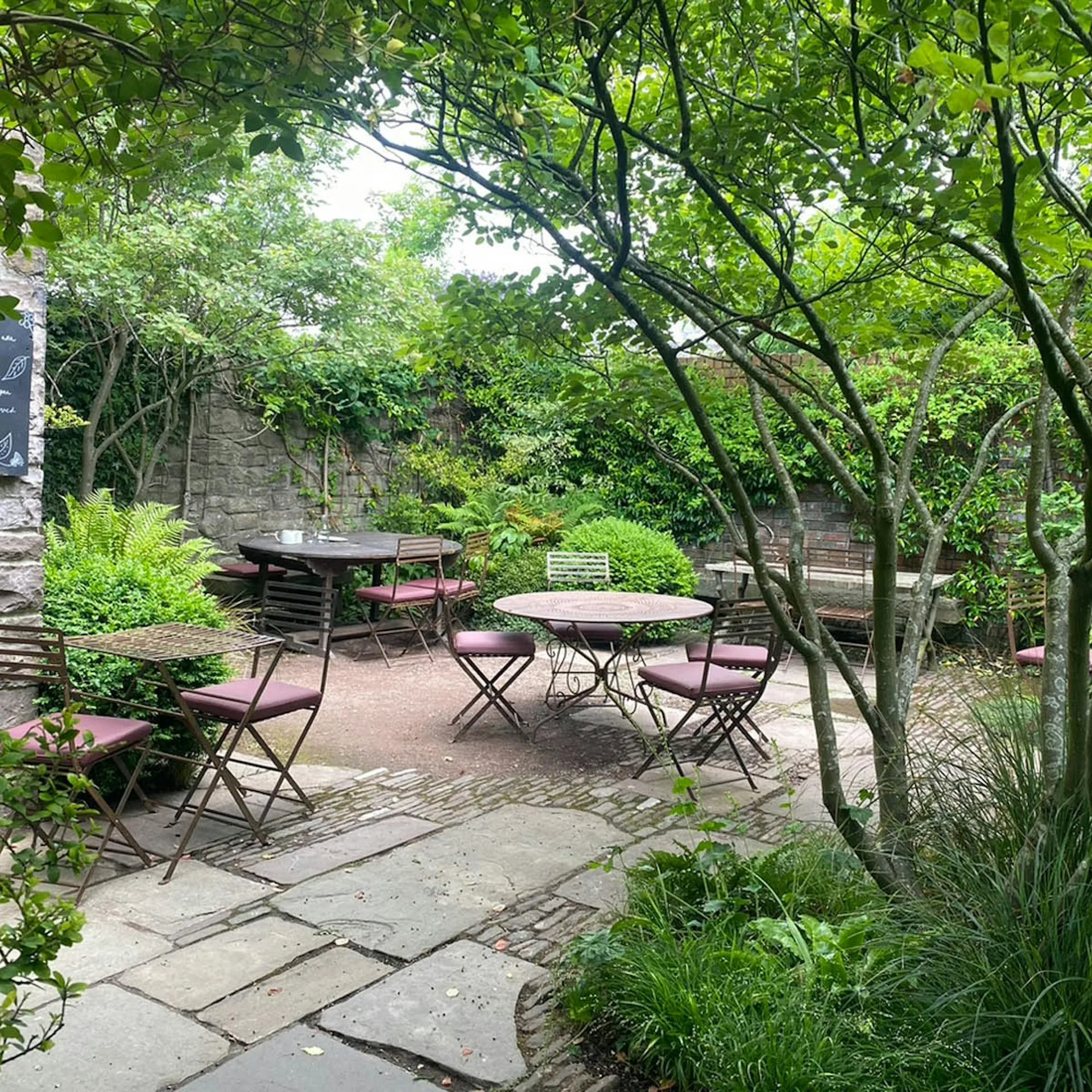 Walnut Tree — photo 24