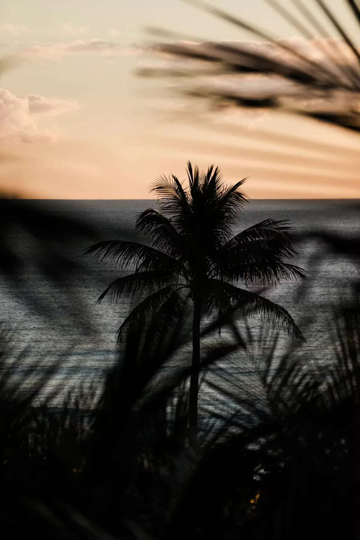 Evelyn’s Fort Lauderdale — photo 9