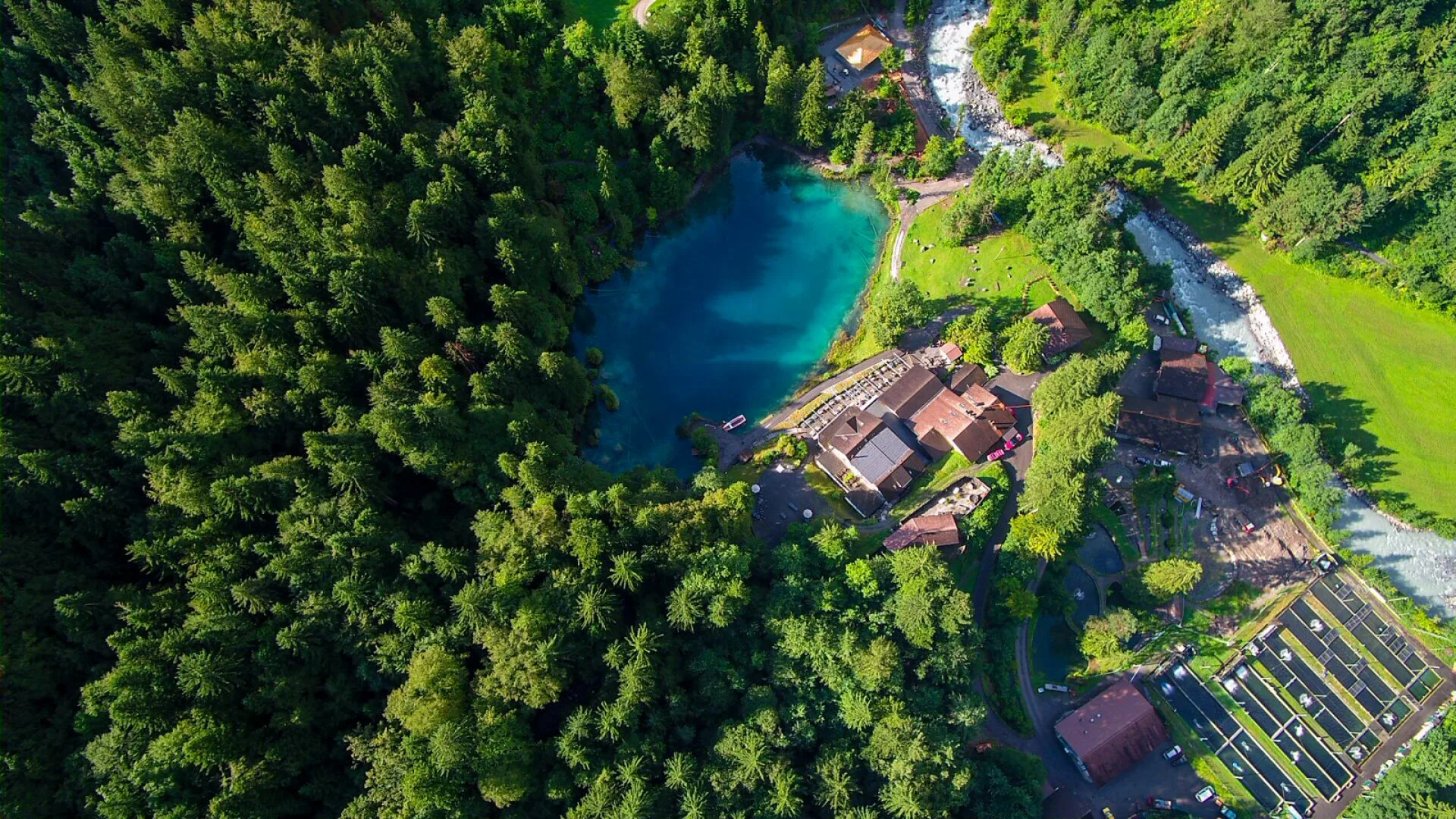 Hotel Restaurant Blausee — photo 9