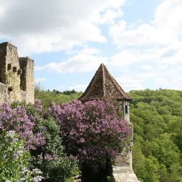 Restaurant Burg Hornberg — photo 16