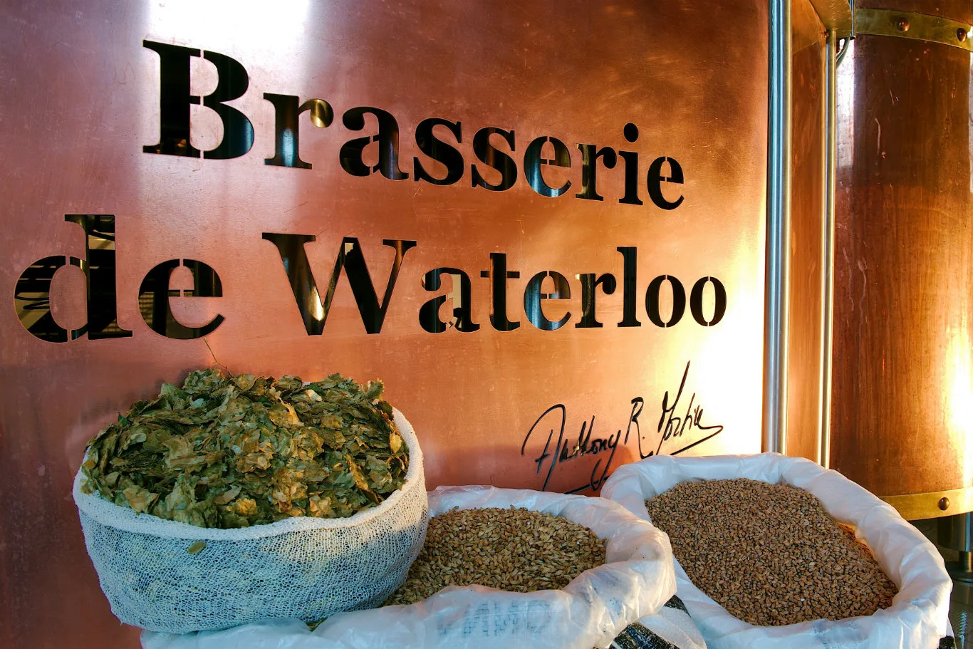 Brasserie de Waterloo — photo 29