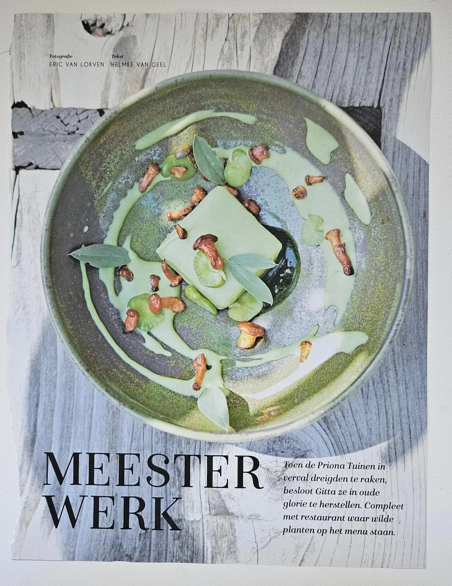 Zomerrestaurant De Tuinkamer — photo 35