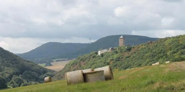 Waldhotel Felschbachhof — photo 7