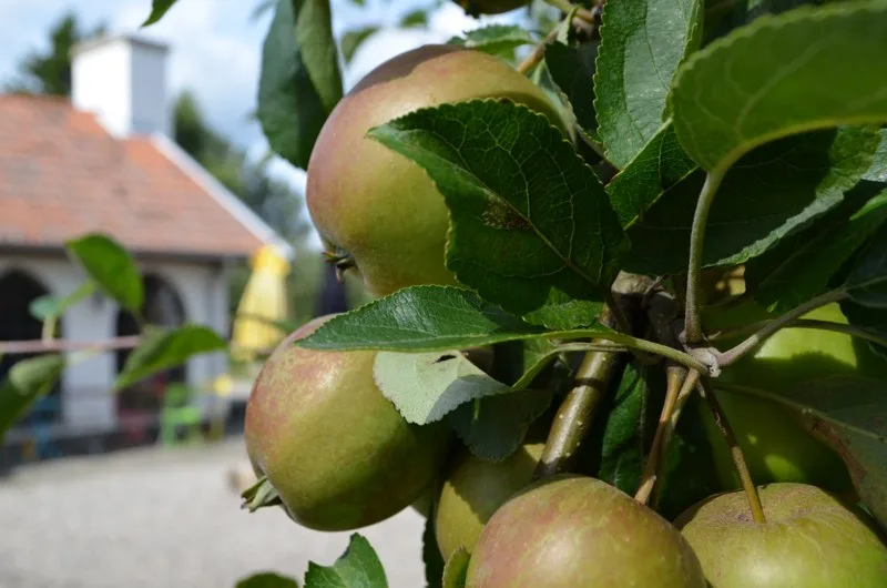 Friden Gårdskrog, Simrishamn