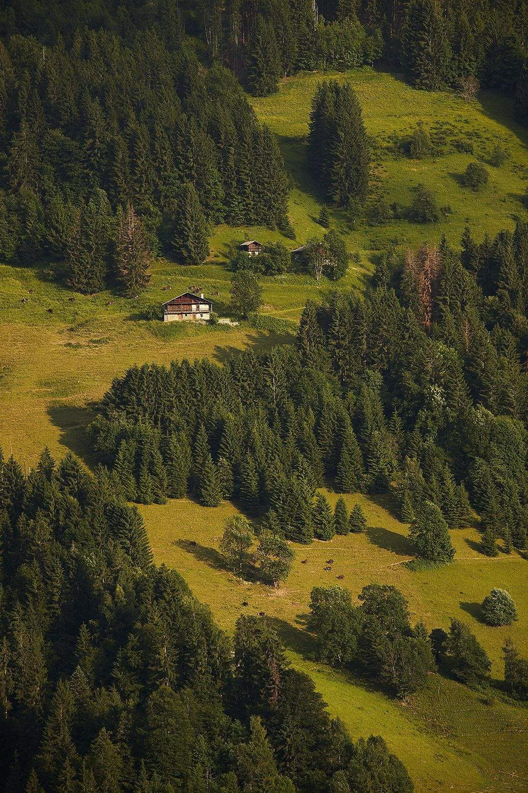 La Ferme du Chozal — atmosphere