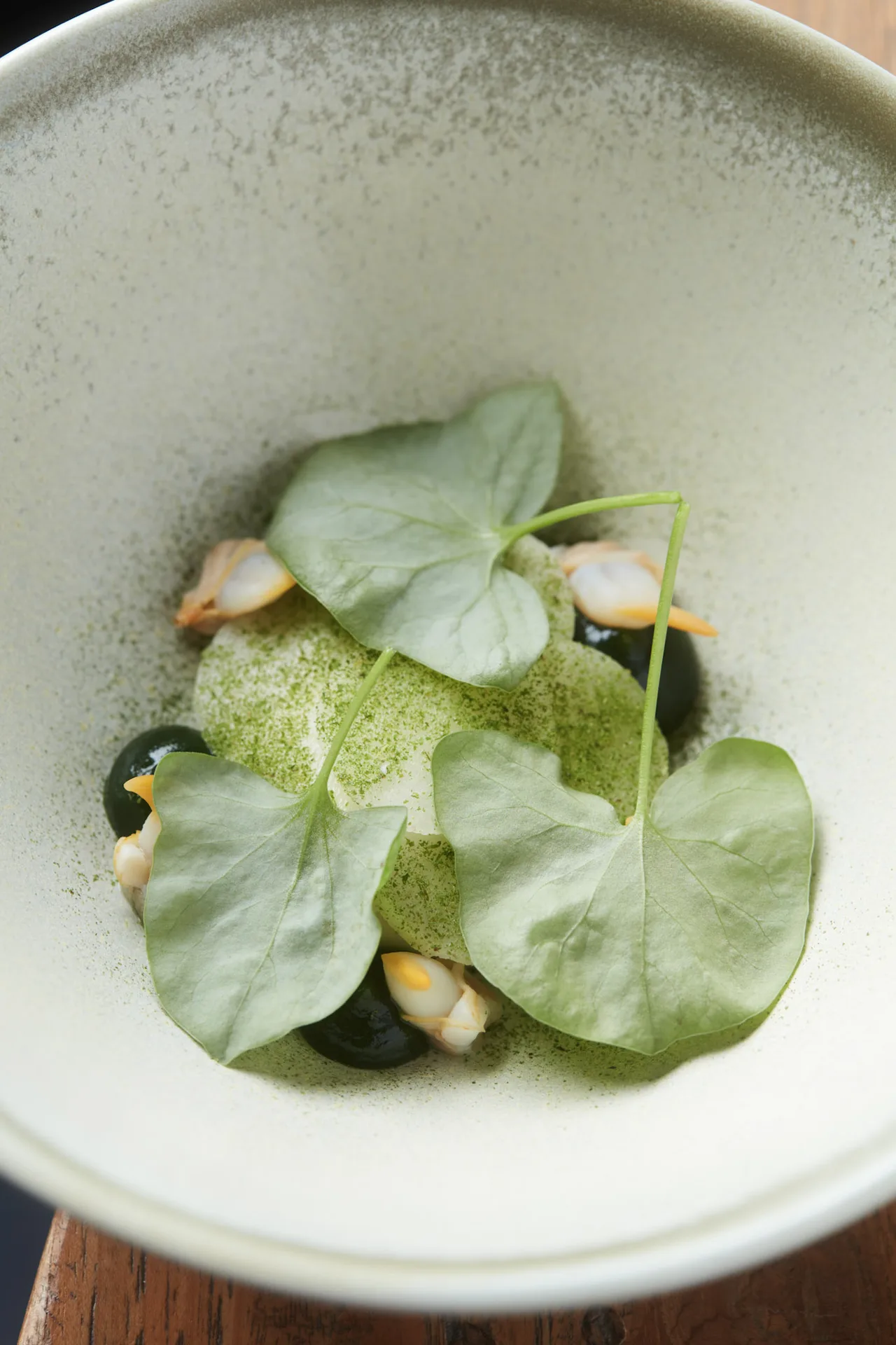 Nonam — photo 13