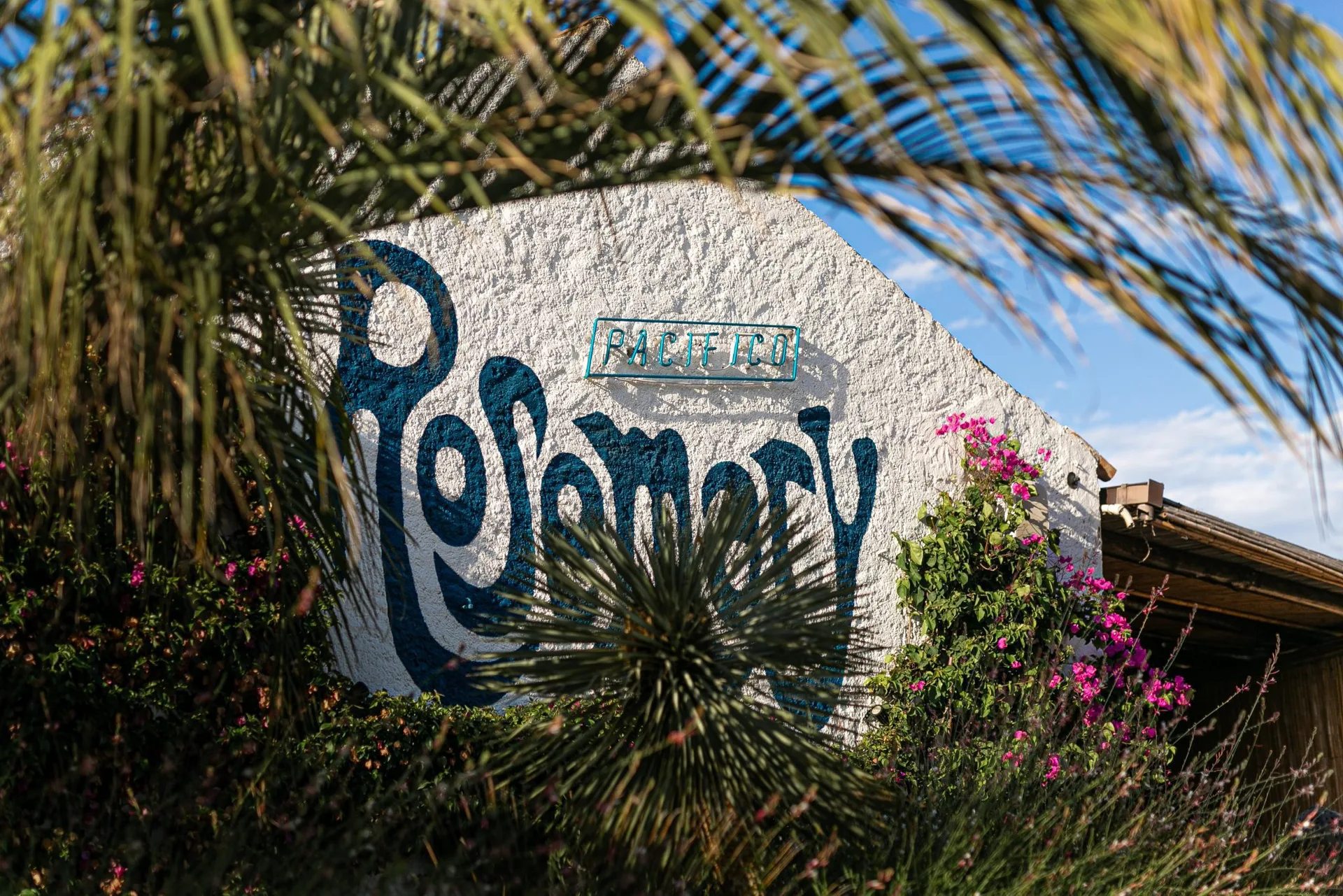 Pacifico — photo 4
