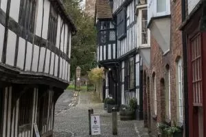 The Cottage in the Wood — photo 11