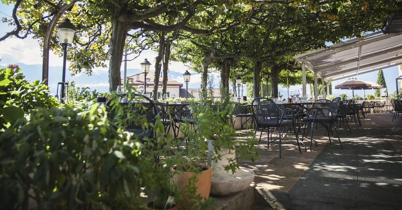 Auberge de Rivaz — photo 33