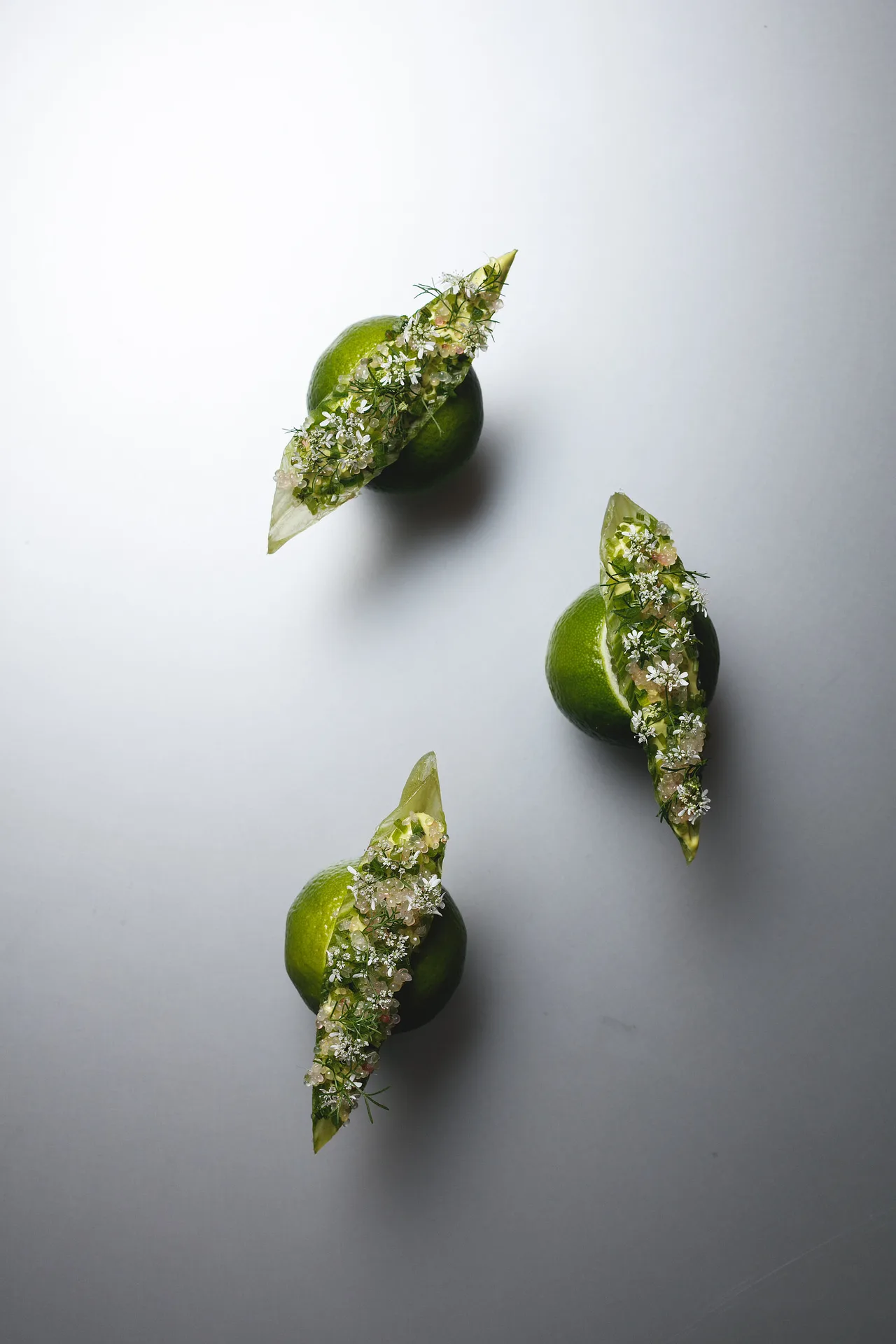 Alinea — photo 26