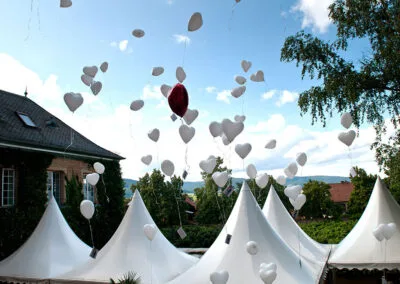 Schloss Edesheim - Gourmet-Restaurant — photo 9