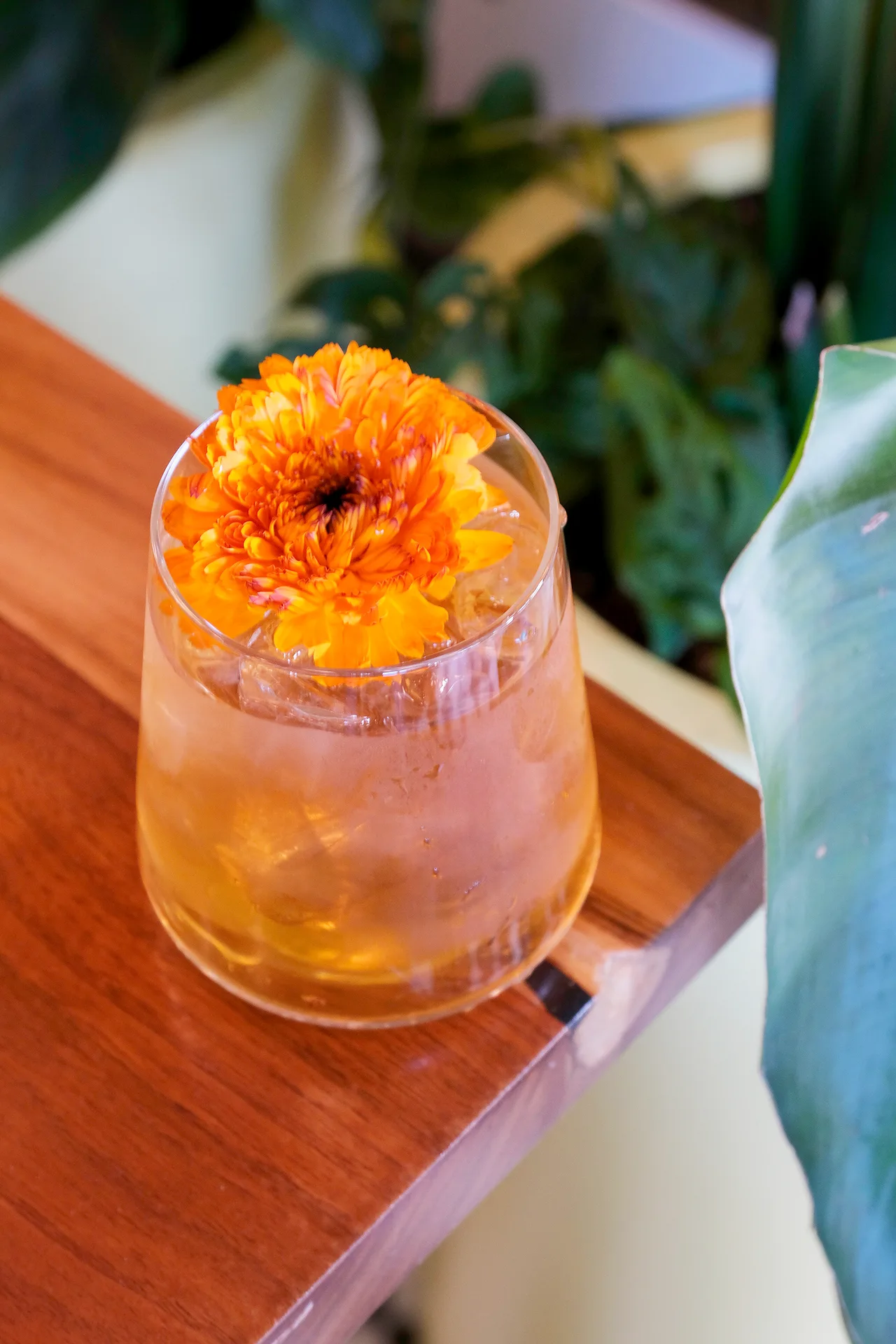 Bonjour Vietnam Bistro — drink
