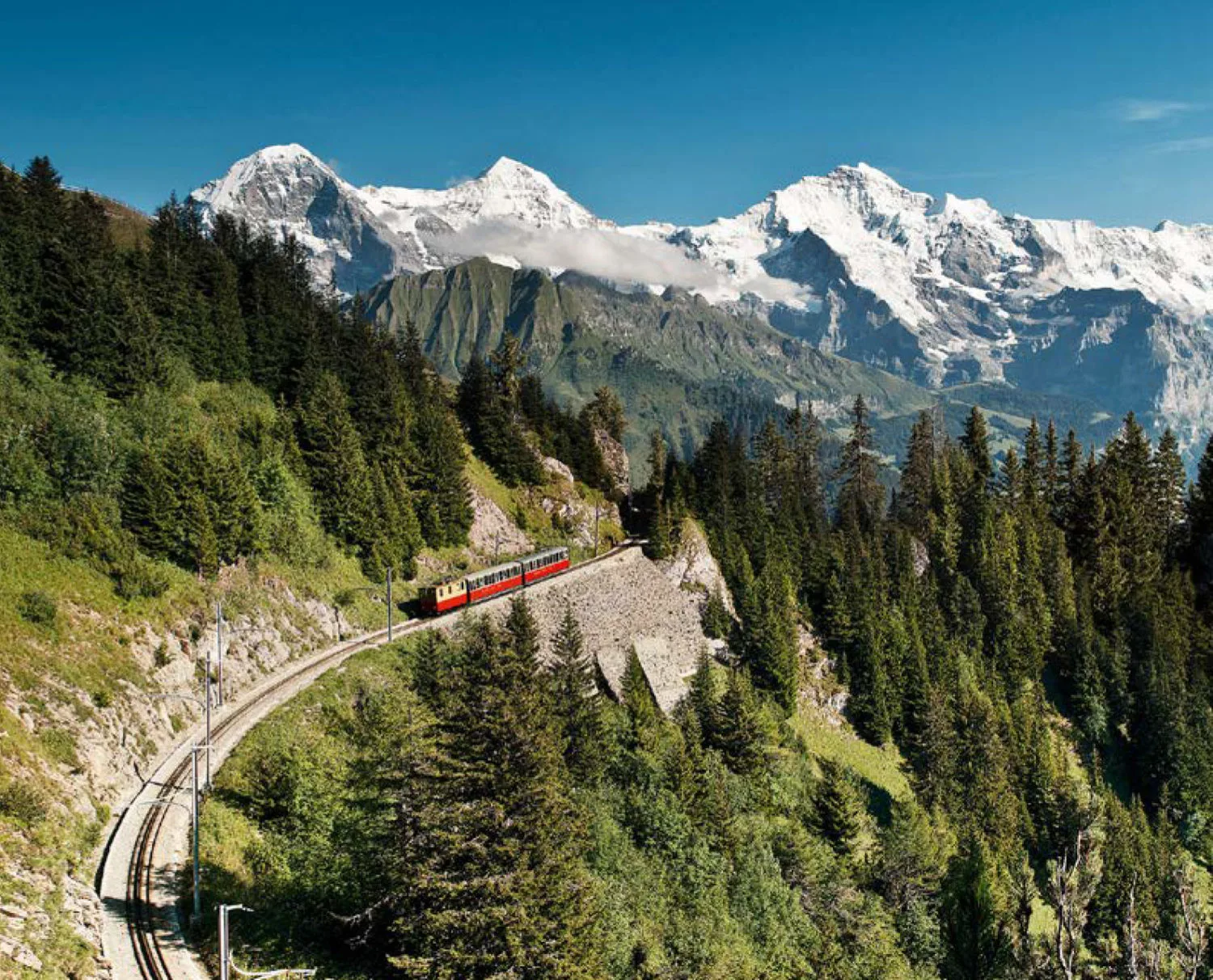 Alpenblick und Chalet Resort — photo 13