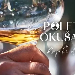 Posestvo Saksida, Gorizia