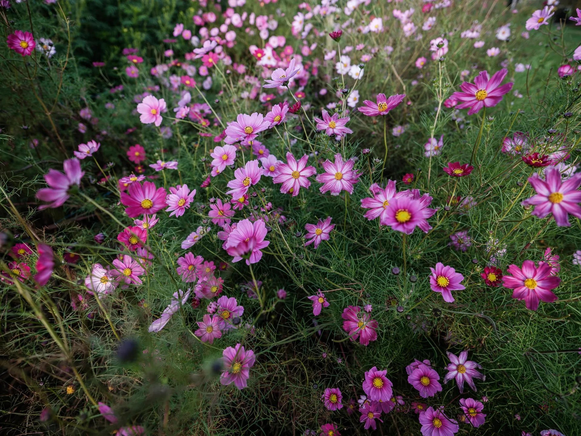 L'air du temps — photo 35