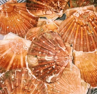Fa. Pekelhaaring — photo 11