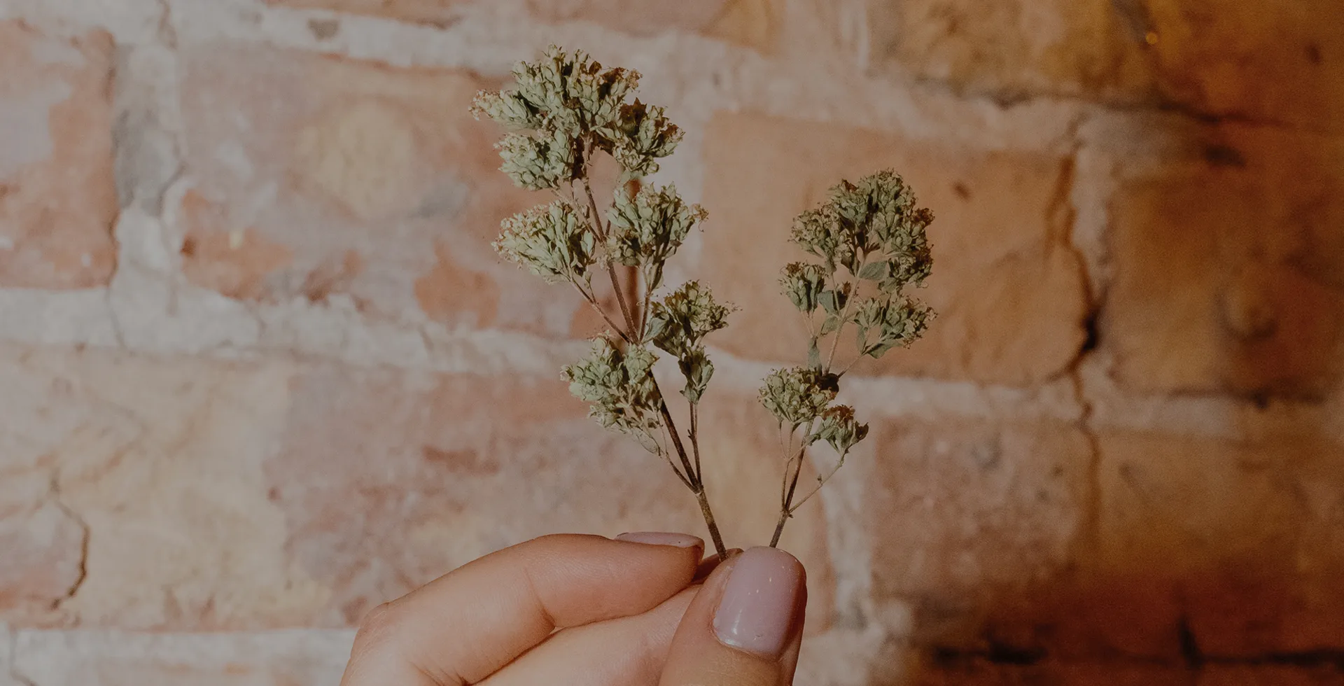 La Luce — food