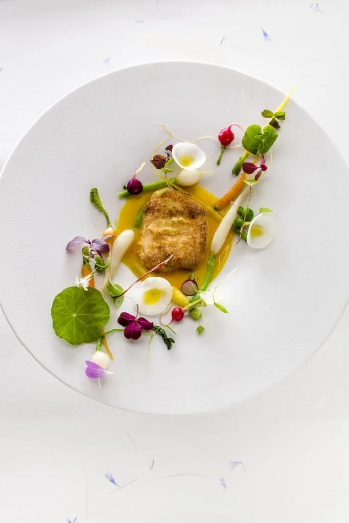Restaurant Sola — photo 21