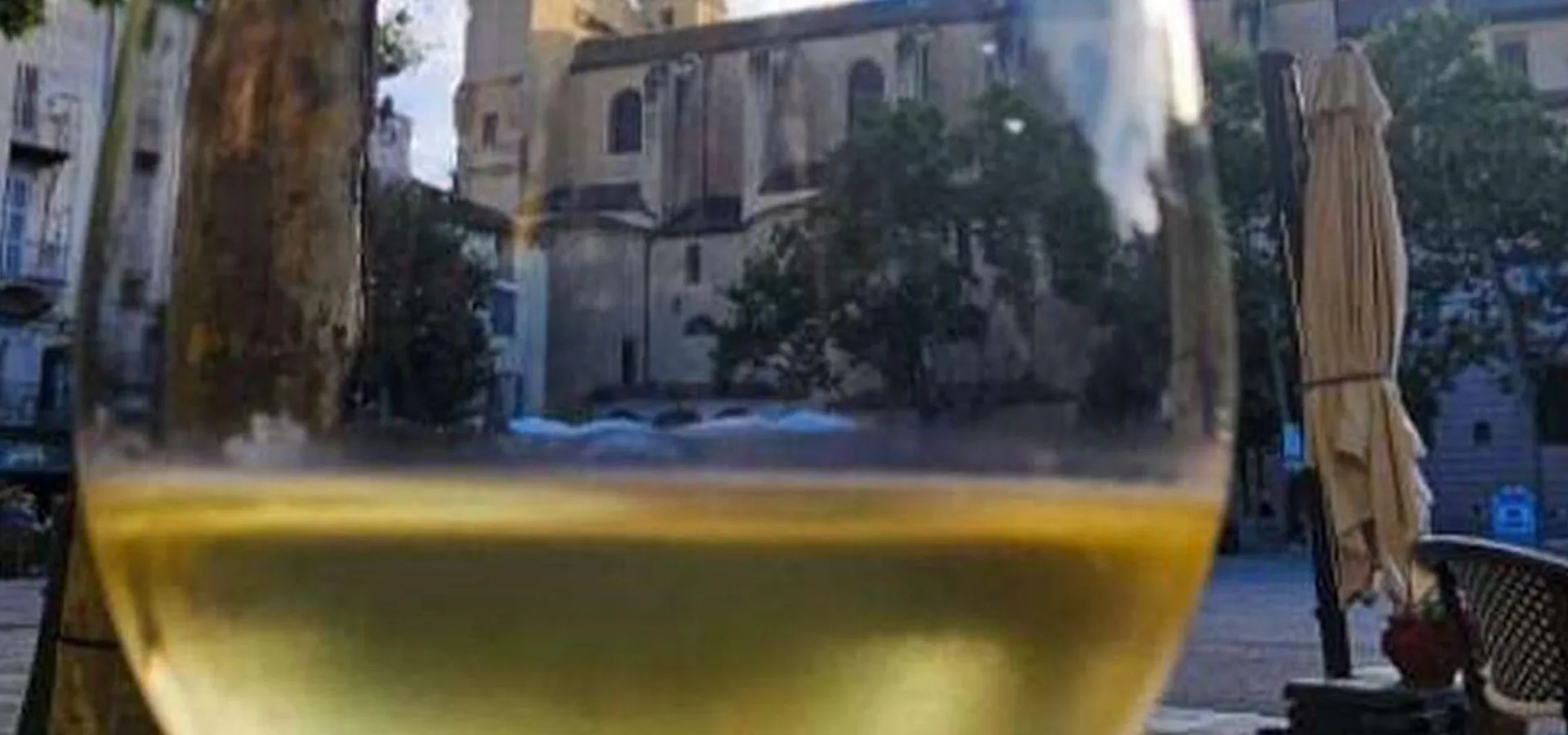 Radiche — photo 10