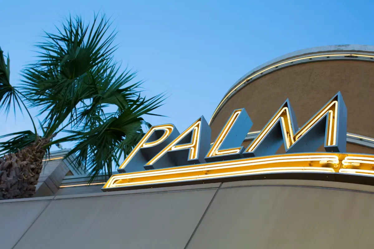 The Palm Boston — photo 6