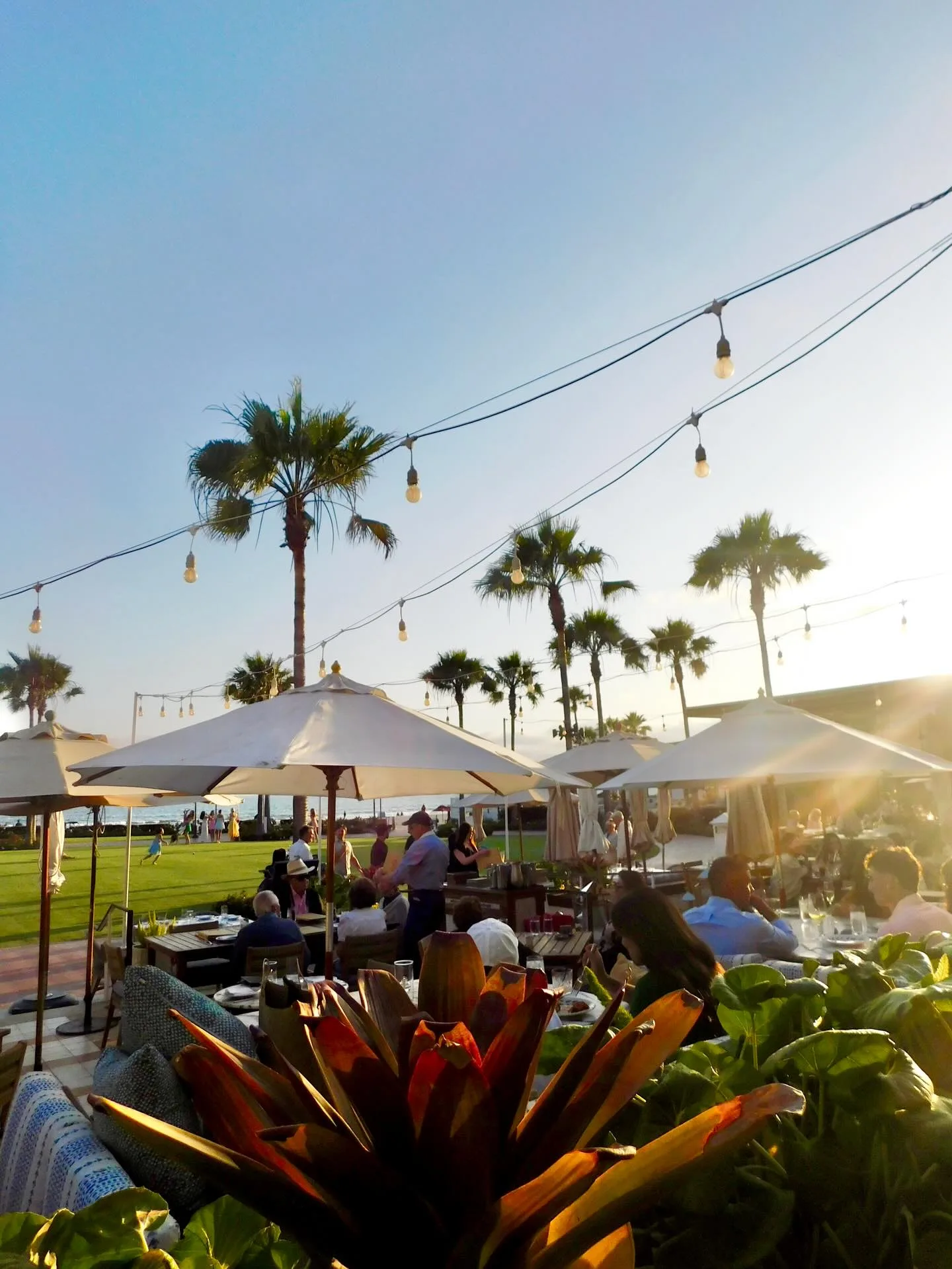 Serẽa Coastal Cuisine, San Diego
