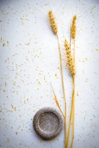 La Hambar Modern Romanian Cusine — food