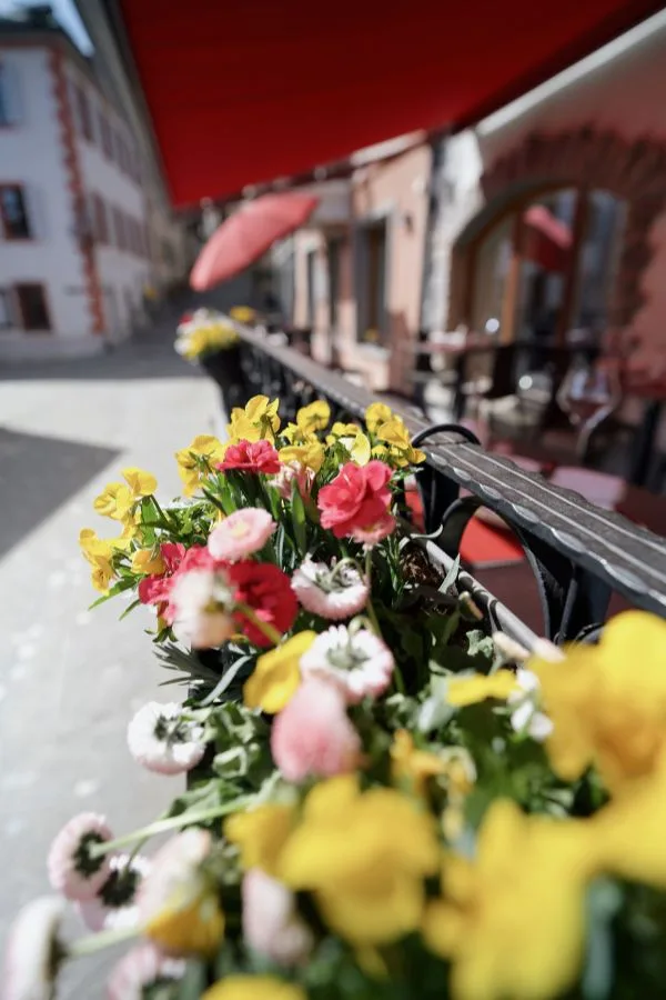 Nouvo Bourg — photo 21
