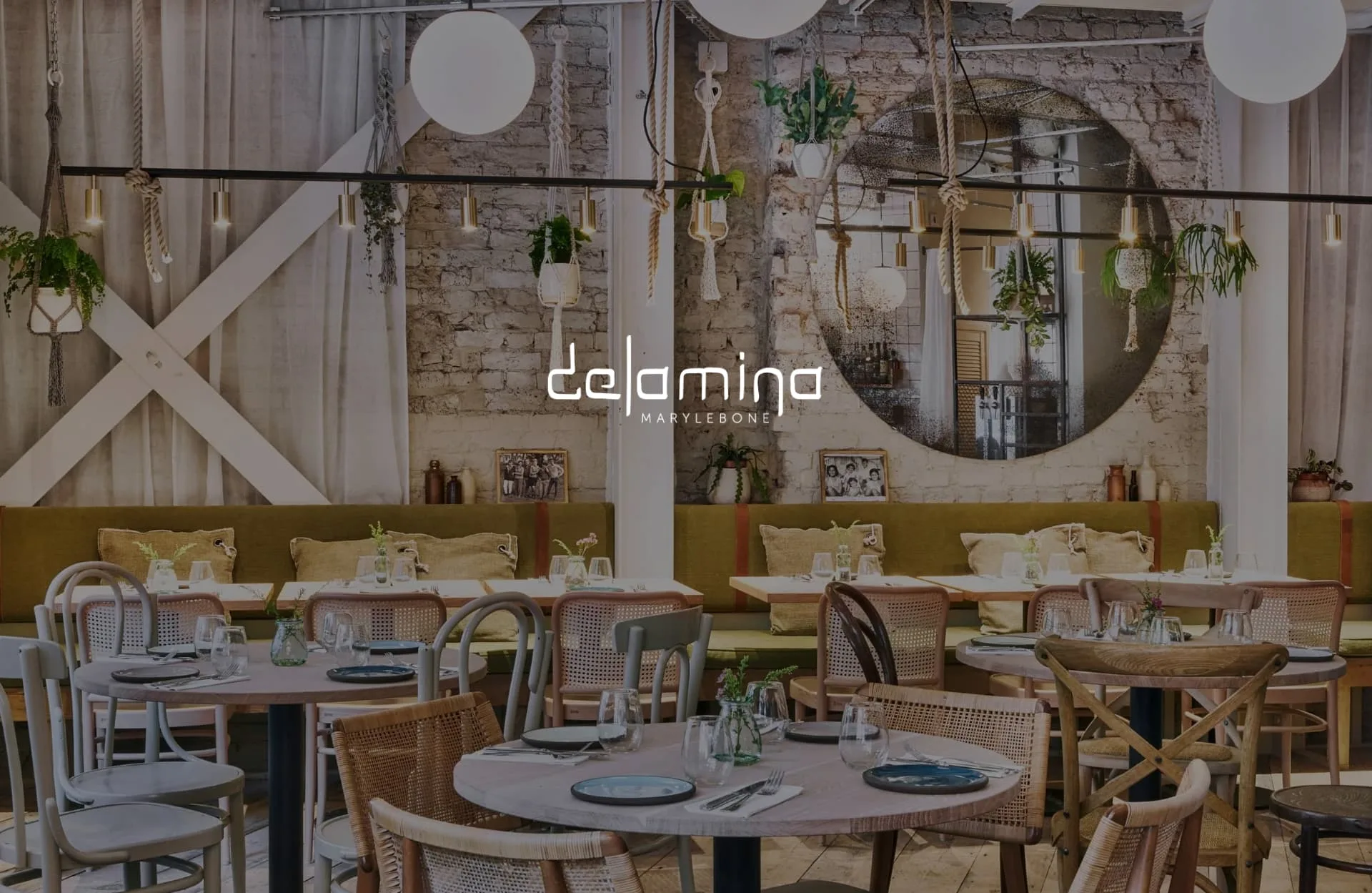 Delamina — photo 21