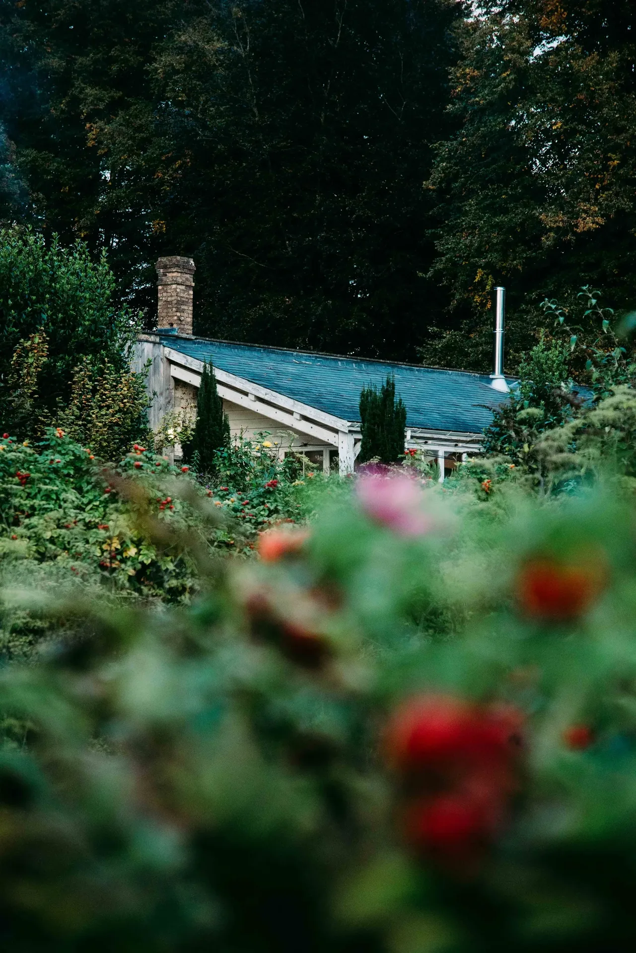 Pythouse Kitchen Garden — photo 17