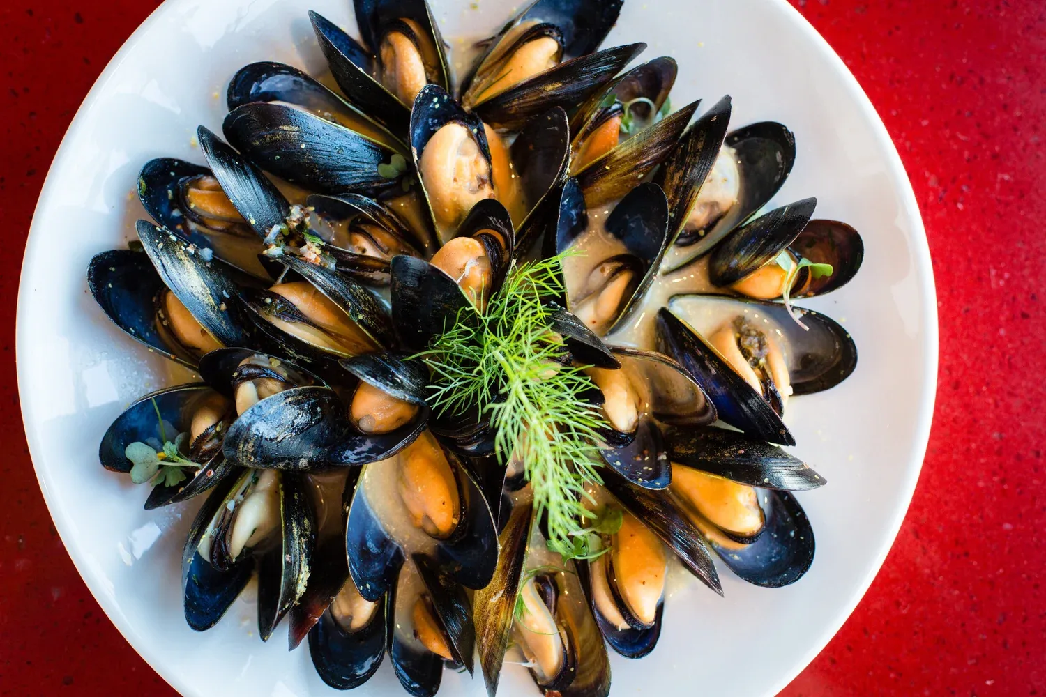 Pacifica Seafood Restaurant — photo 17
