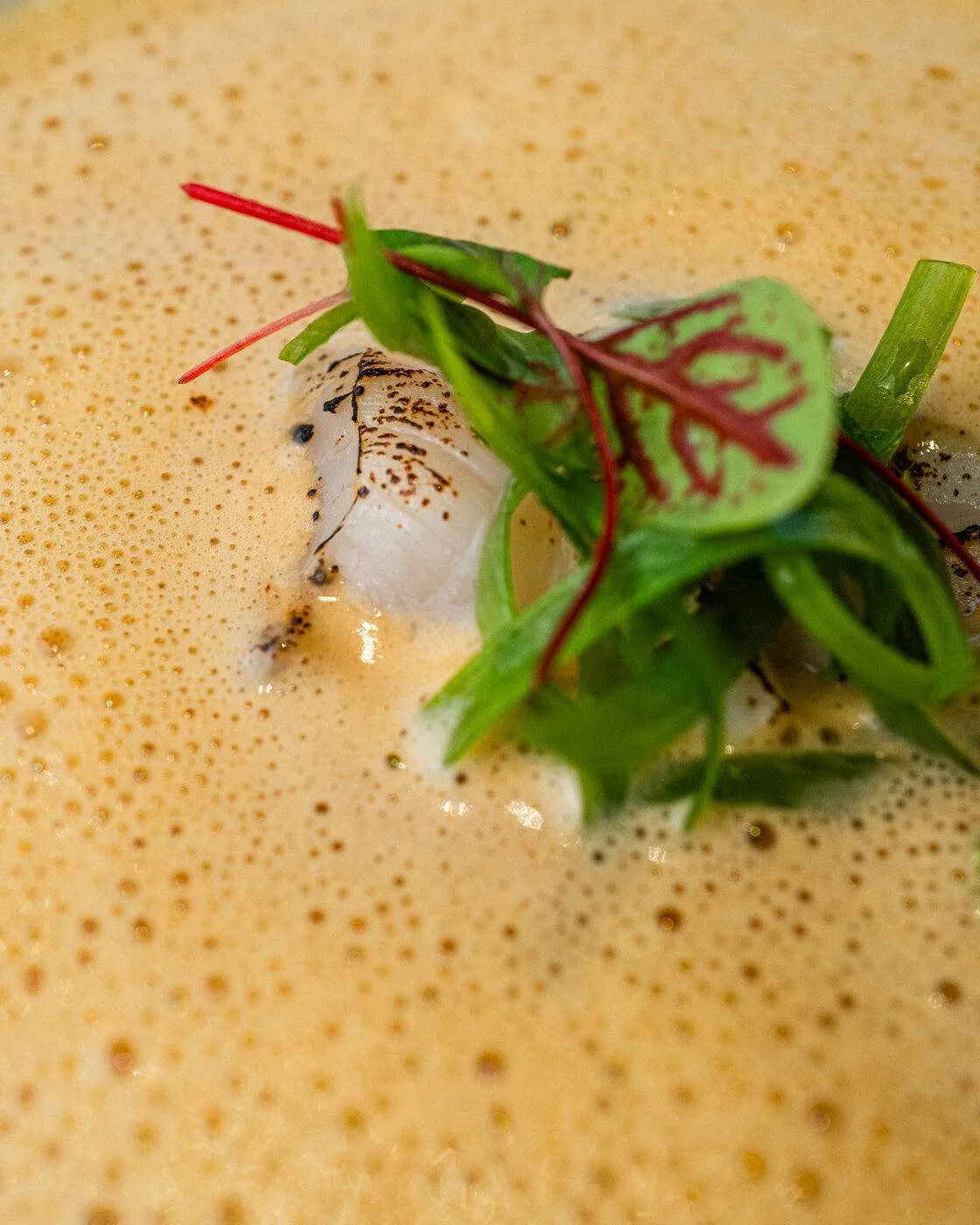 Restaurant Kleine Burg — photo 5