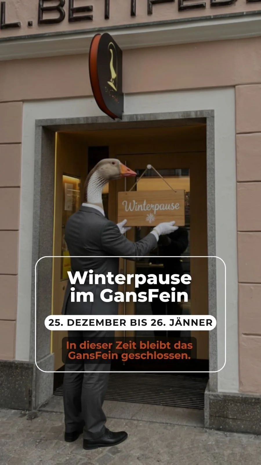 GansFein — photo 11
