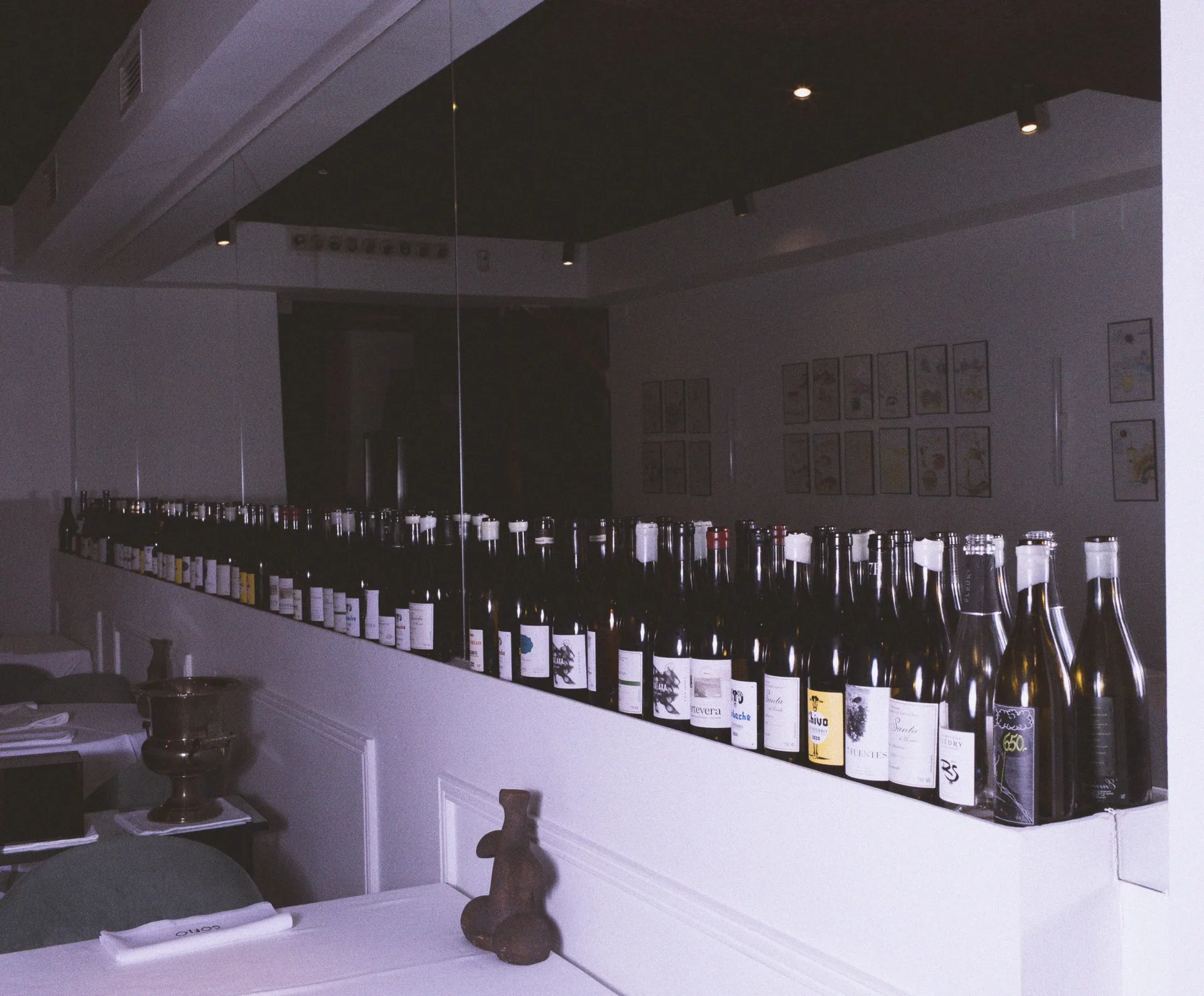 Gofio — photo 33