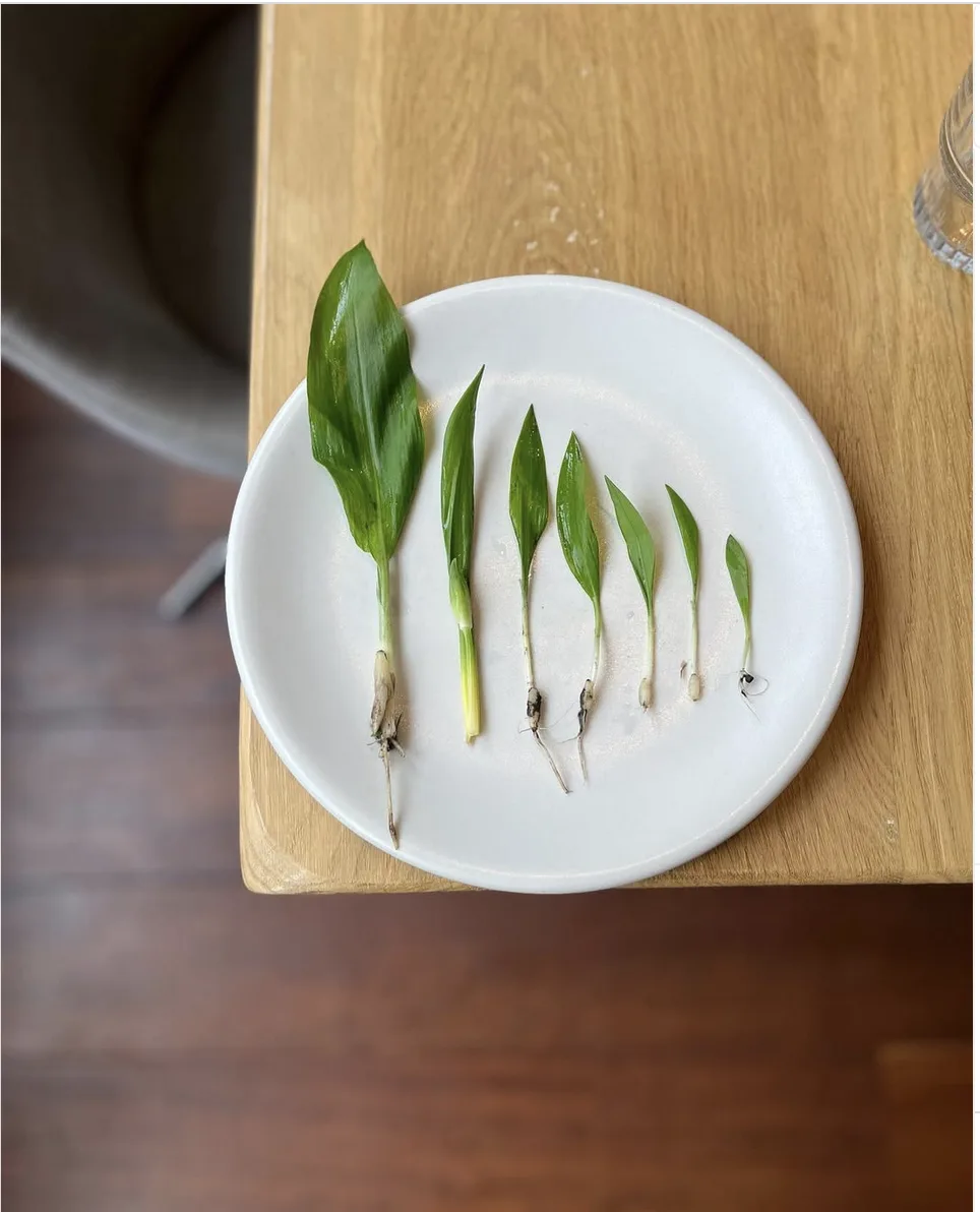 Vert — food