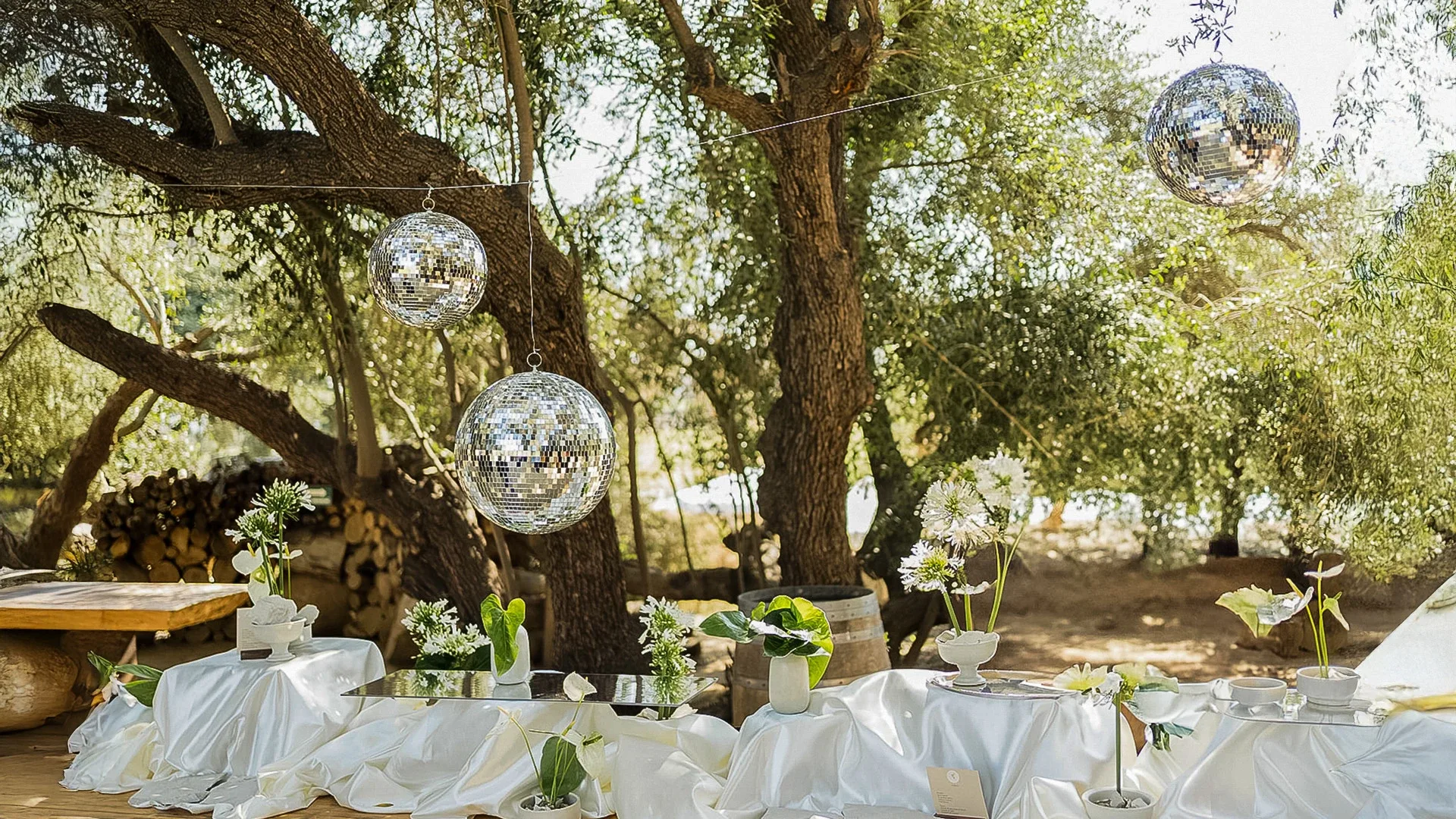 Bruma Wine Garden — photo 31