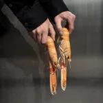 Jean-Philippe — photo 12